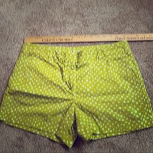 Loft dotted shorts
